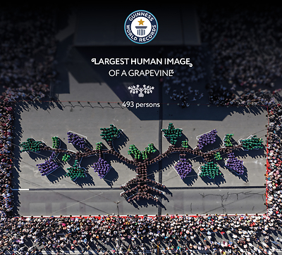 Moldova achieves GUINNESS WORLD RECORDS™ title as 493 people form world's largest human image of a grapevine  Moldova achieves GUINNESS WORLD RECORDS™ title as 493 people form world's largest human image of a grapevine IMG 9493