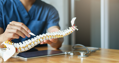 Zydus Spine Surgeons Push the Boundaries of Complex Spine Care, Delivering Excellent Outcomes Across All Ages Anatomical-Model-of-the-Spine Anatomical-Model-of-the-Spine Zydus Spine Surgeons Push the Boundaries of Complex Spine Care, Delivering Excellent Outcomes Across All Ages zydus spine surgeons push the boundaries of complex spine care, delivering excellent outcomes across all ages Zydus Spine Surgeons Push the Boundaries of Complex Spine Care, Delivering Excellent Outcomes Across All Ages Anatomical Model of the Spine