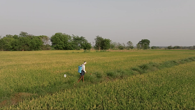 GOOGLE & MITTI LABS PARTNER TO ELIMINATE METHANE AND SCALE CLIMATE-SMART AG PRACTICES ACROSS INDIA'S RICE FIELDS google & mitti labs partner to eliminate methane and scale climate-smart ag practices across india's rice fields GOOGLE &amp; MITTI LABS PARTNER TO ELIMINATE METHANE AND SCALE CLIMATE-SMART AG PRACTICES ACROSS INDIA'S RICE FIELDS Drone Image